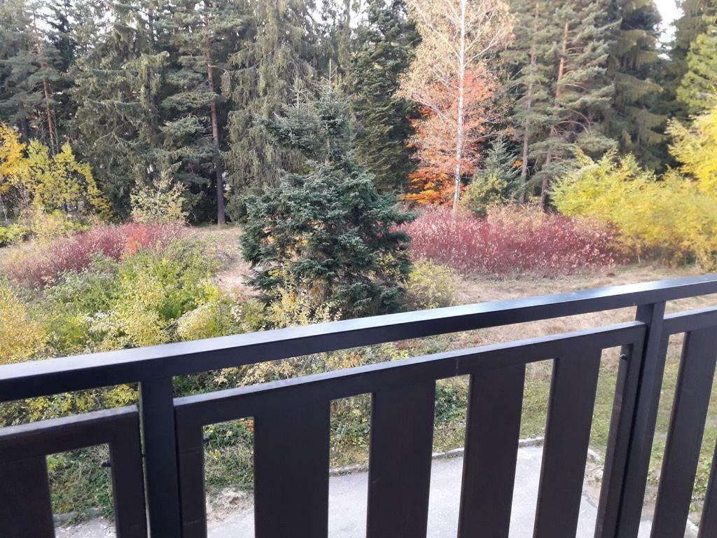 Borovest Garden. Apartman Borovec Kültér fotó